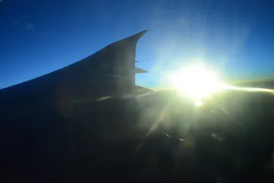 DSC_9773 (Large).JPG